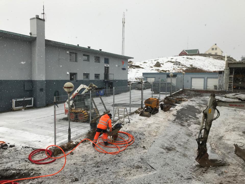 Stålgitterhegn til indhegning