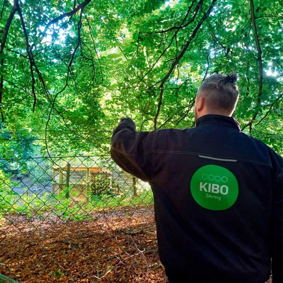 Close-up af fletvævshegn