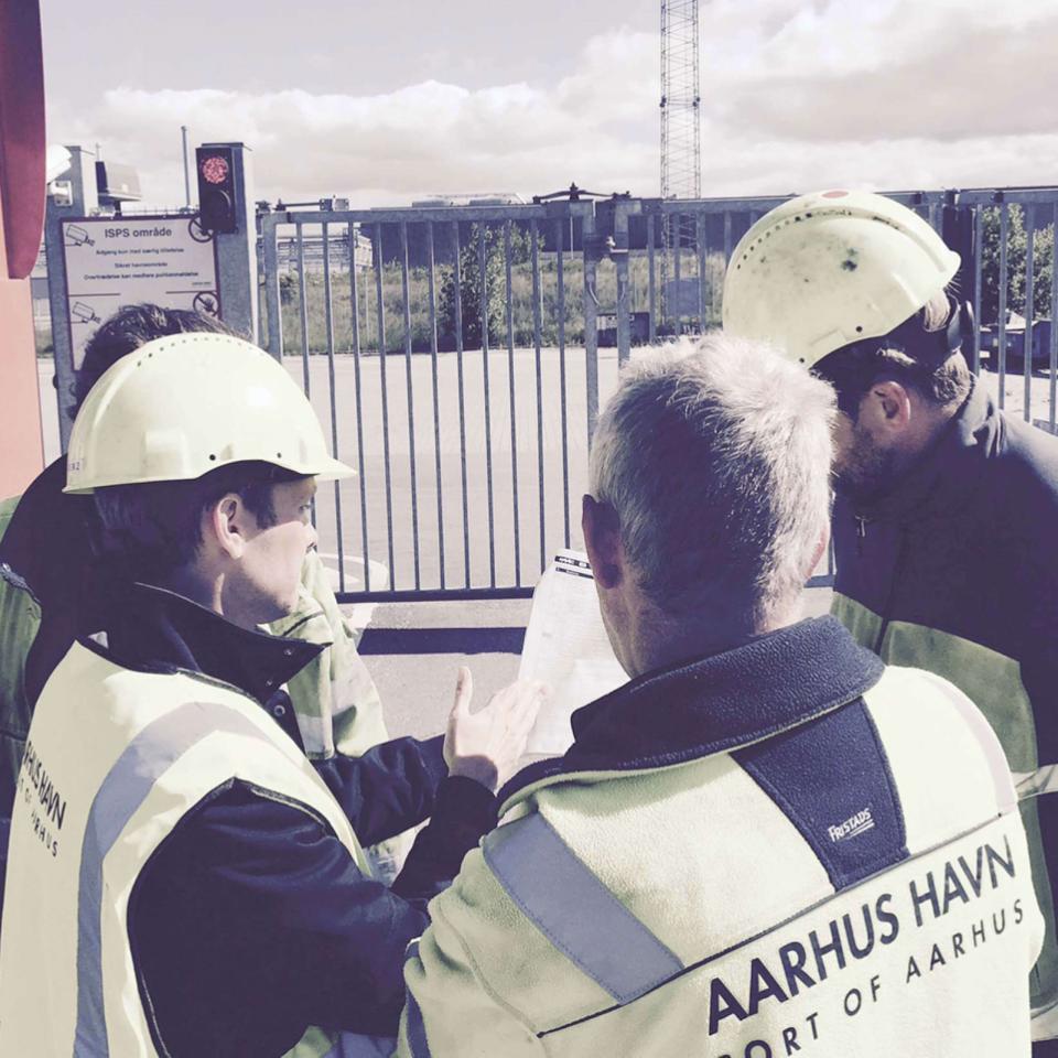 Close-up af fletvævshegn